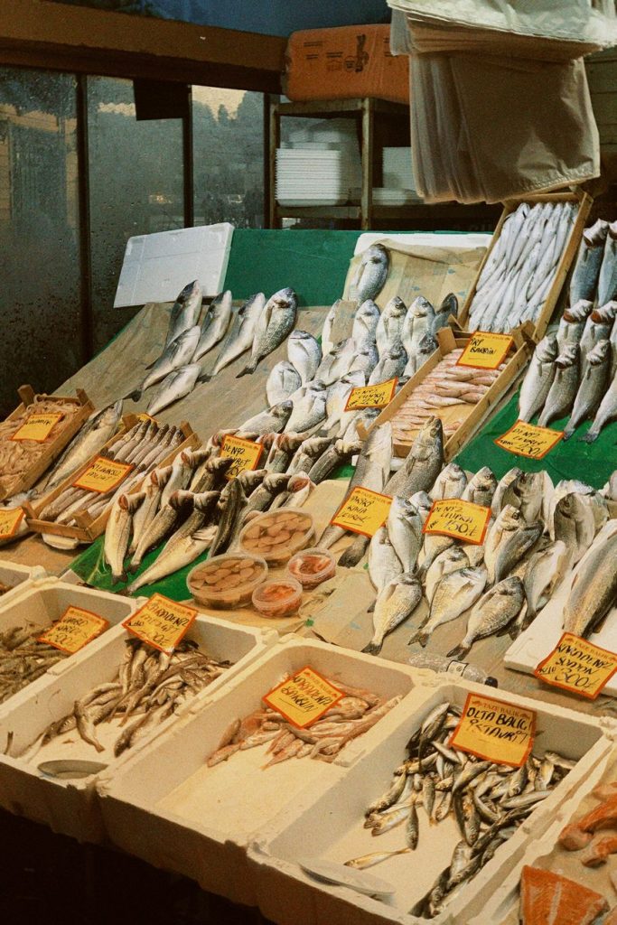 Fish Market