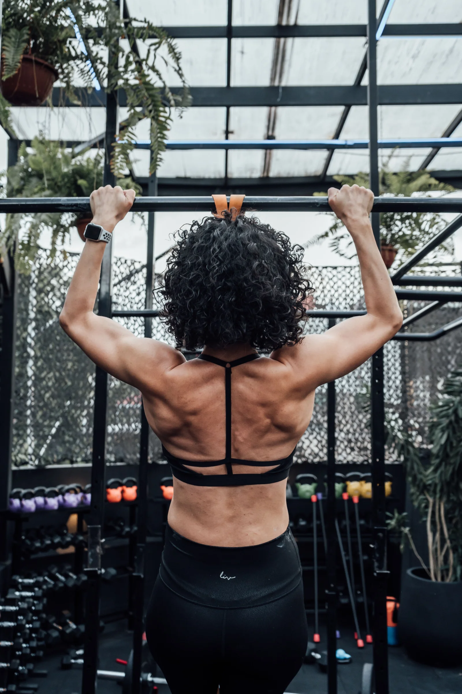 Nexolume Fitness Gym Premium