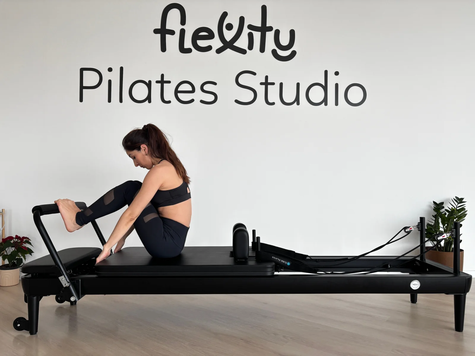 Nexolume Fitness Gym Premium