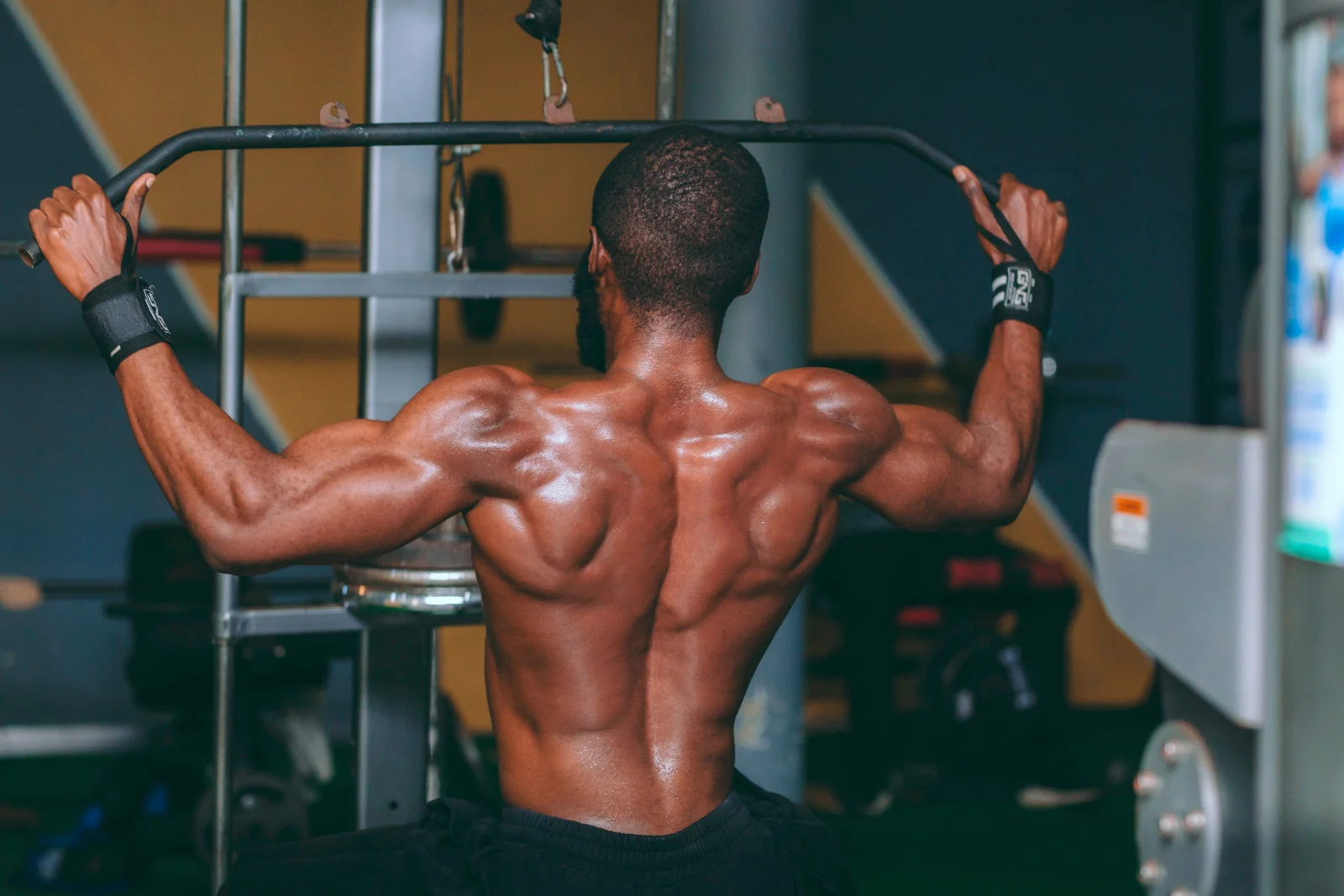 Nexolume Fitness Gym Premium