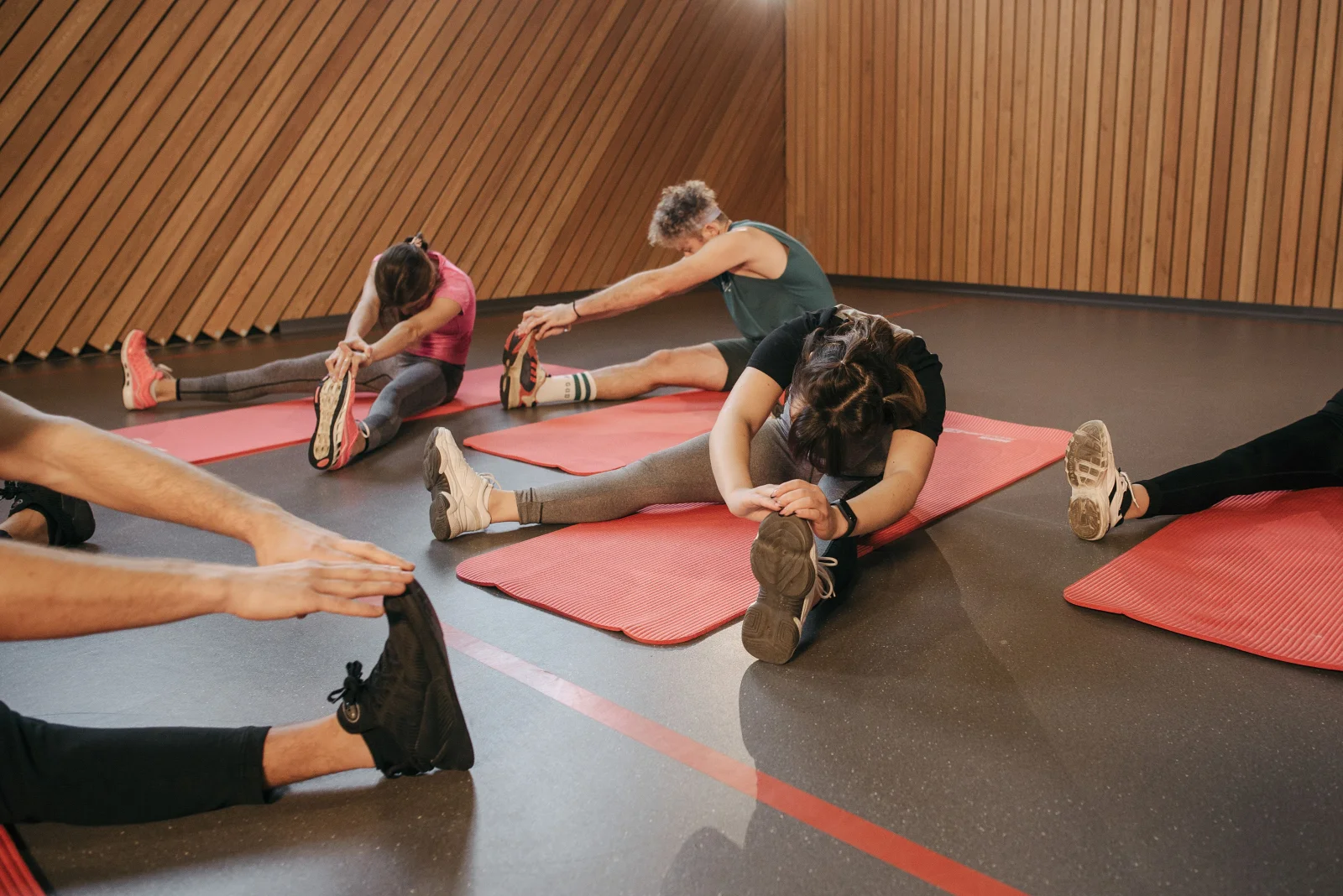 Nexolume Fitness Gym Premium