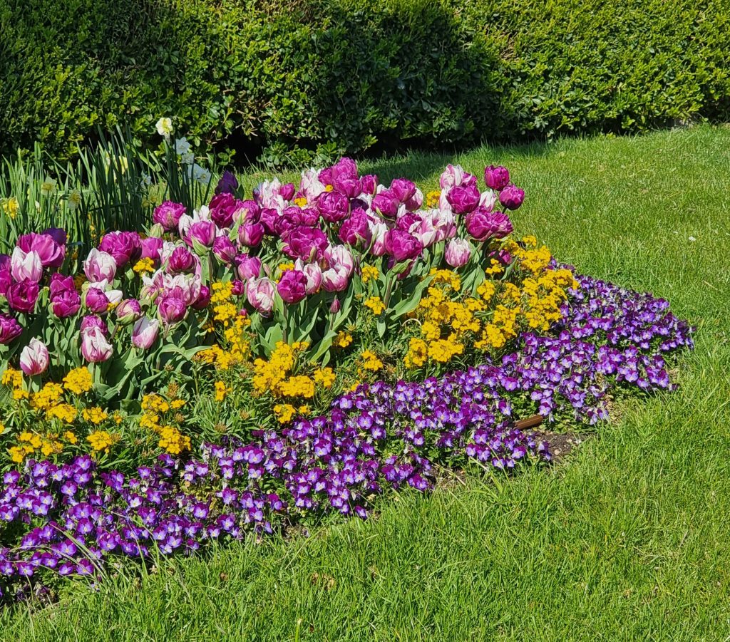 Premium Gardening & Landscaping
