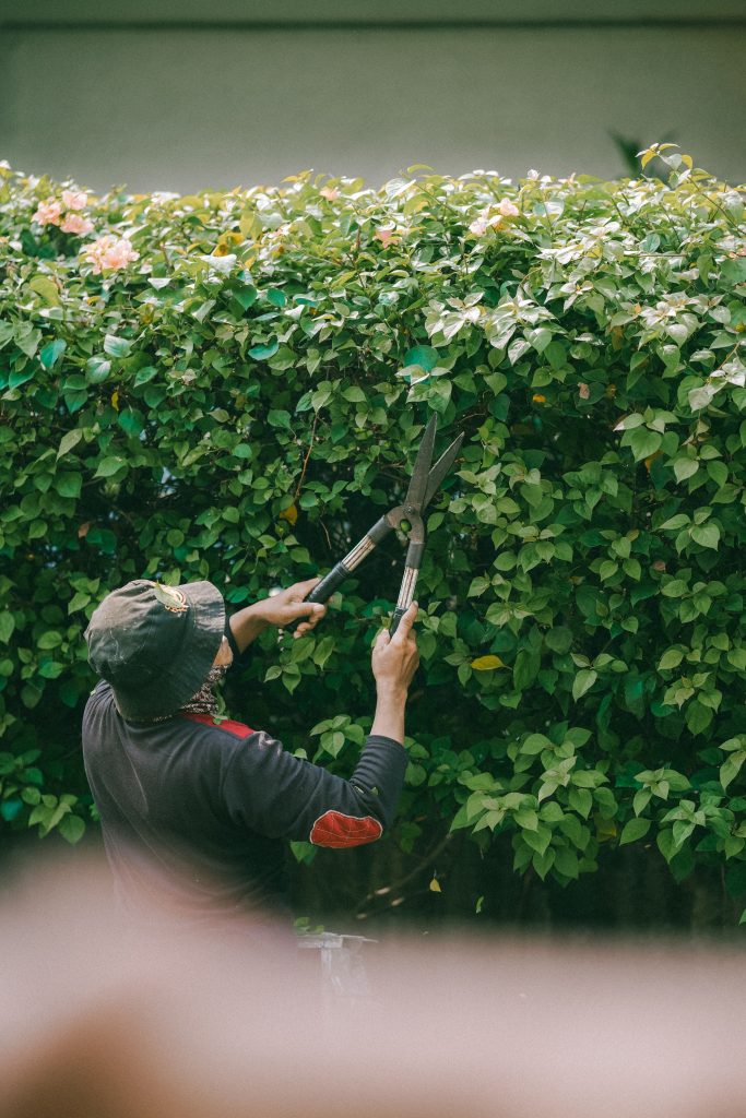 Gardening & Landscaping