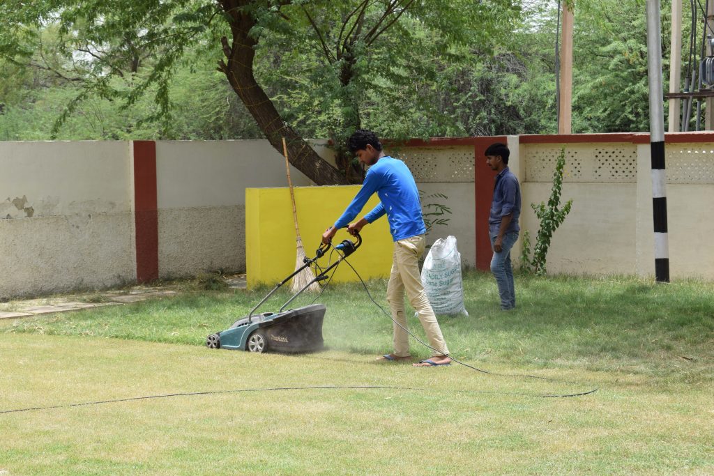 Gardening & Landscaping