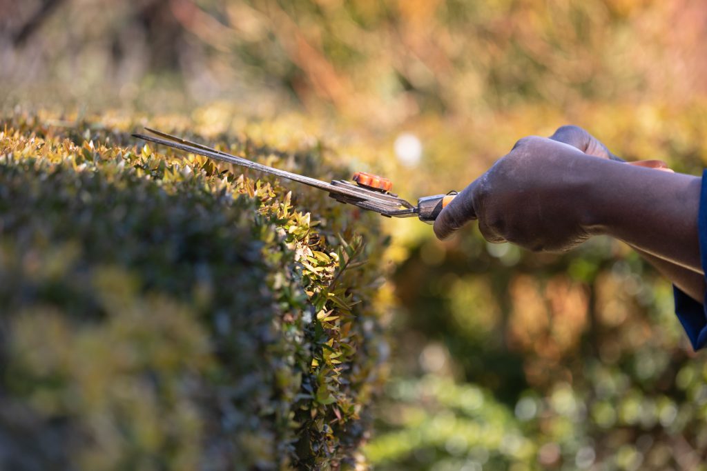 Gardening & Landscaping