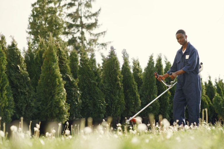 Nexolume Gardening & Landscaping live WordPress demo preview