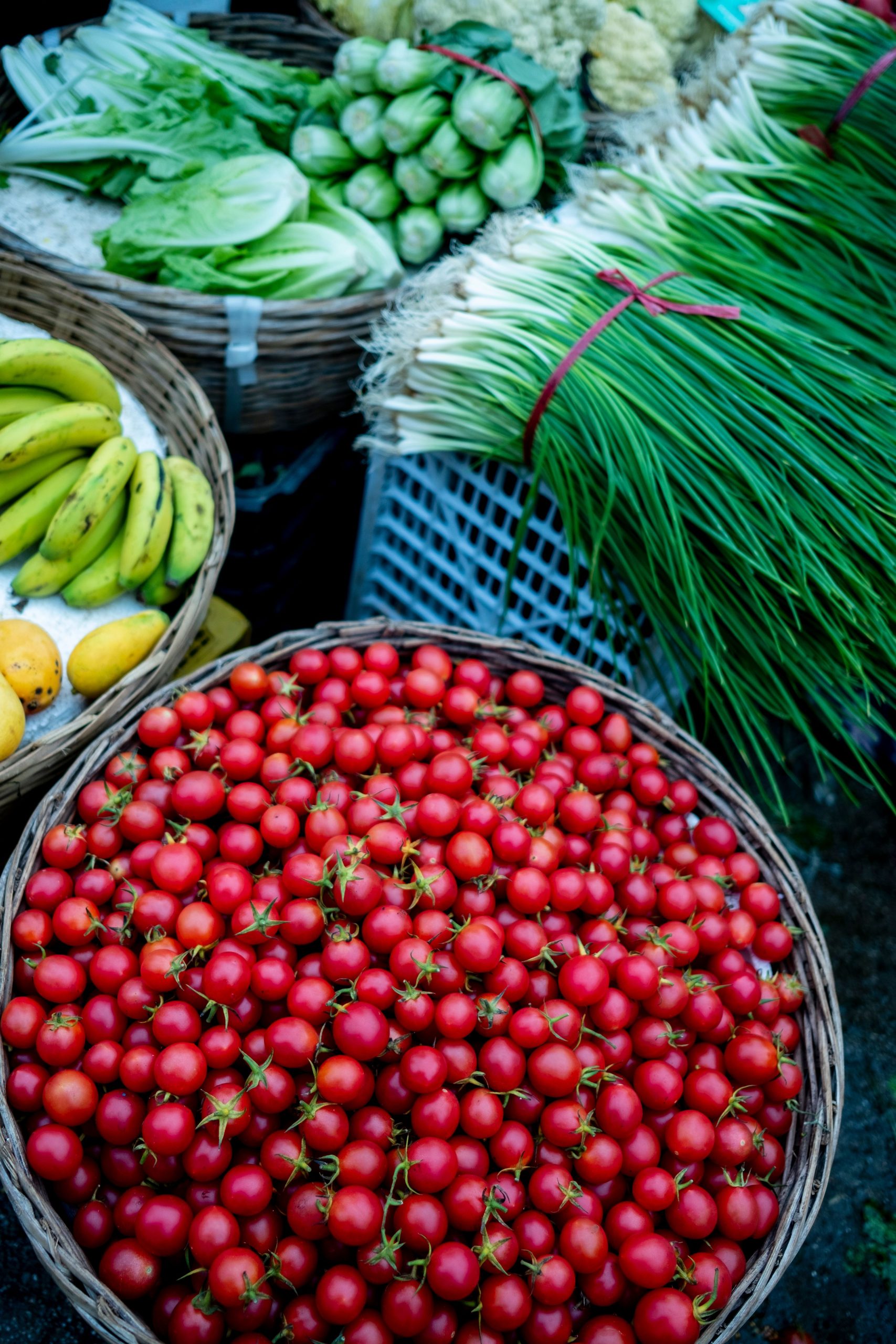 Fresh groceries, everyday essentials, easier shopping