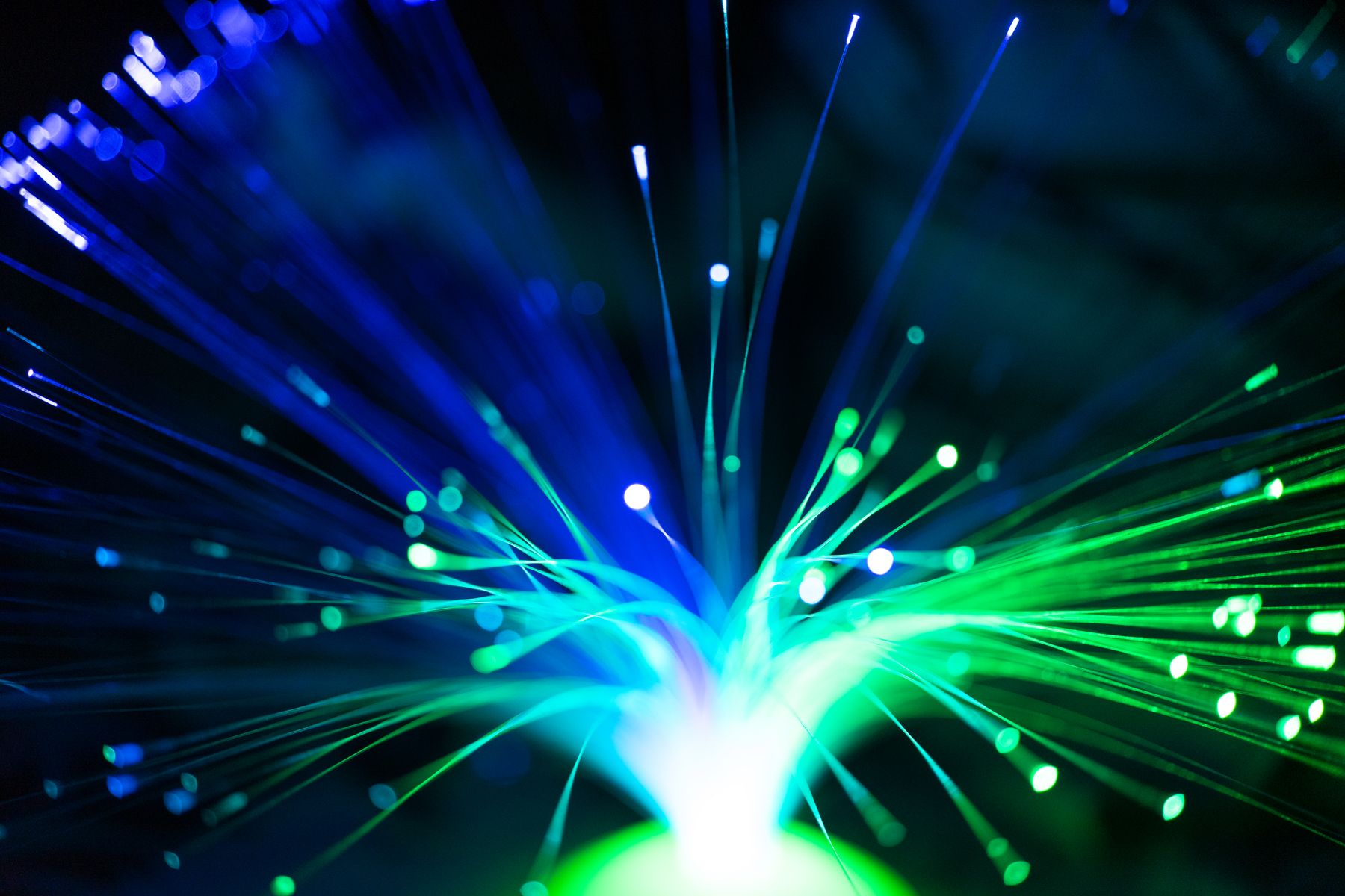 Fiber optic internet service network