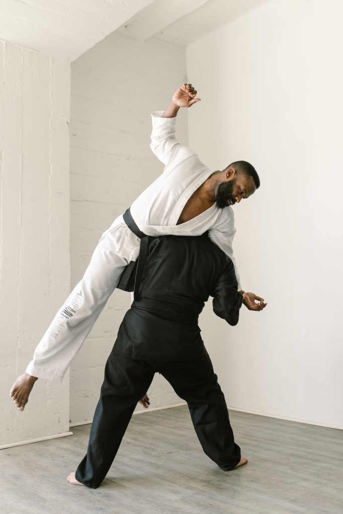 Martial arts training