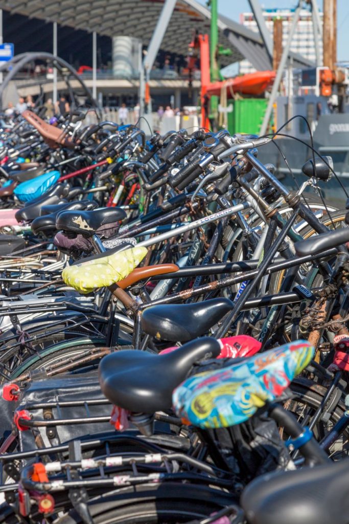 Professional Bikes & Motorbikes Rent, Sales & Purchase