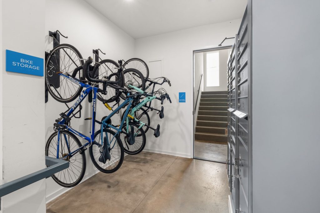 Professional Bikes & Motorbikes Rent, Sales & Purchase