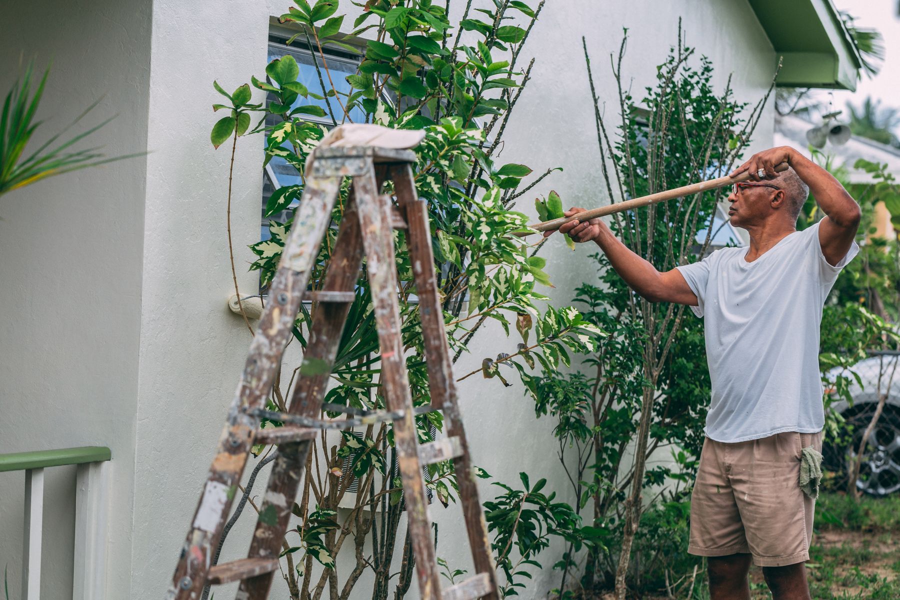 Professional painter applying paint