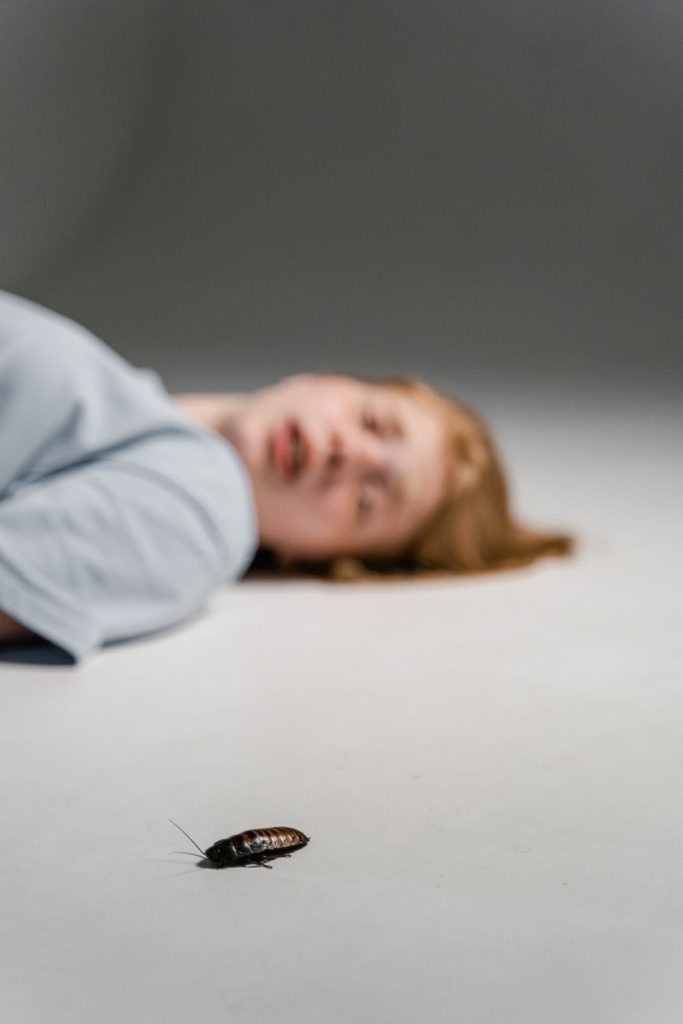 Professional Pest Control & Home Protection