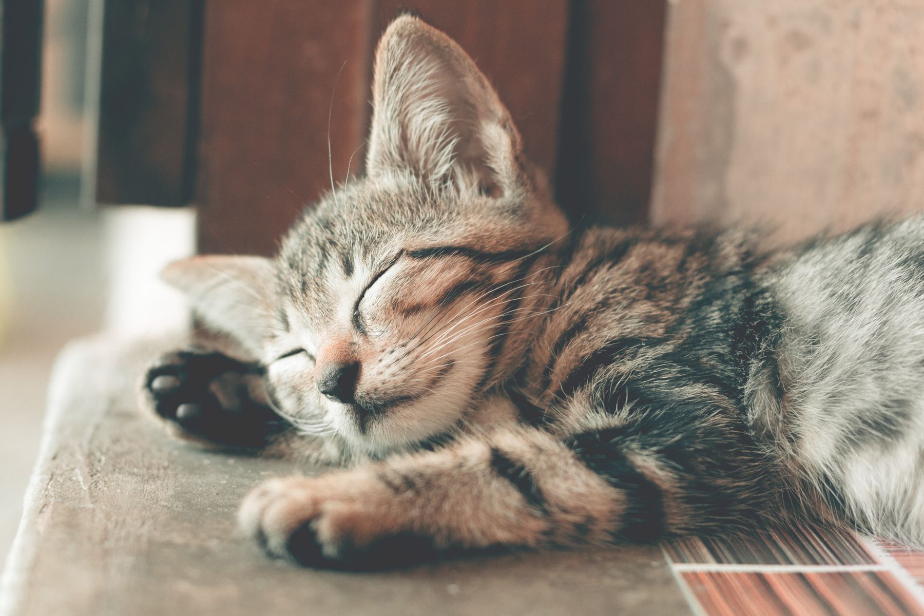 Pet care proof