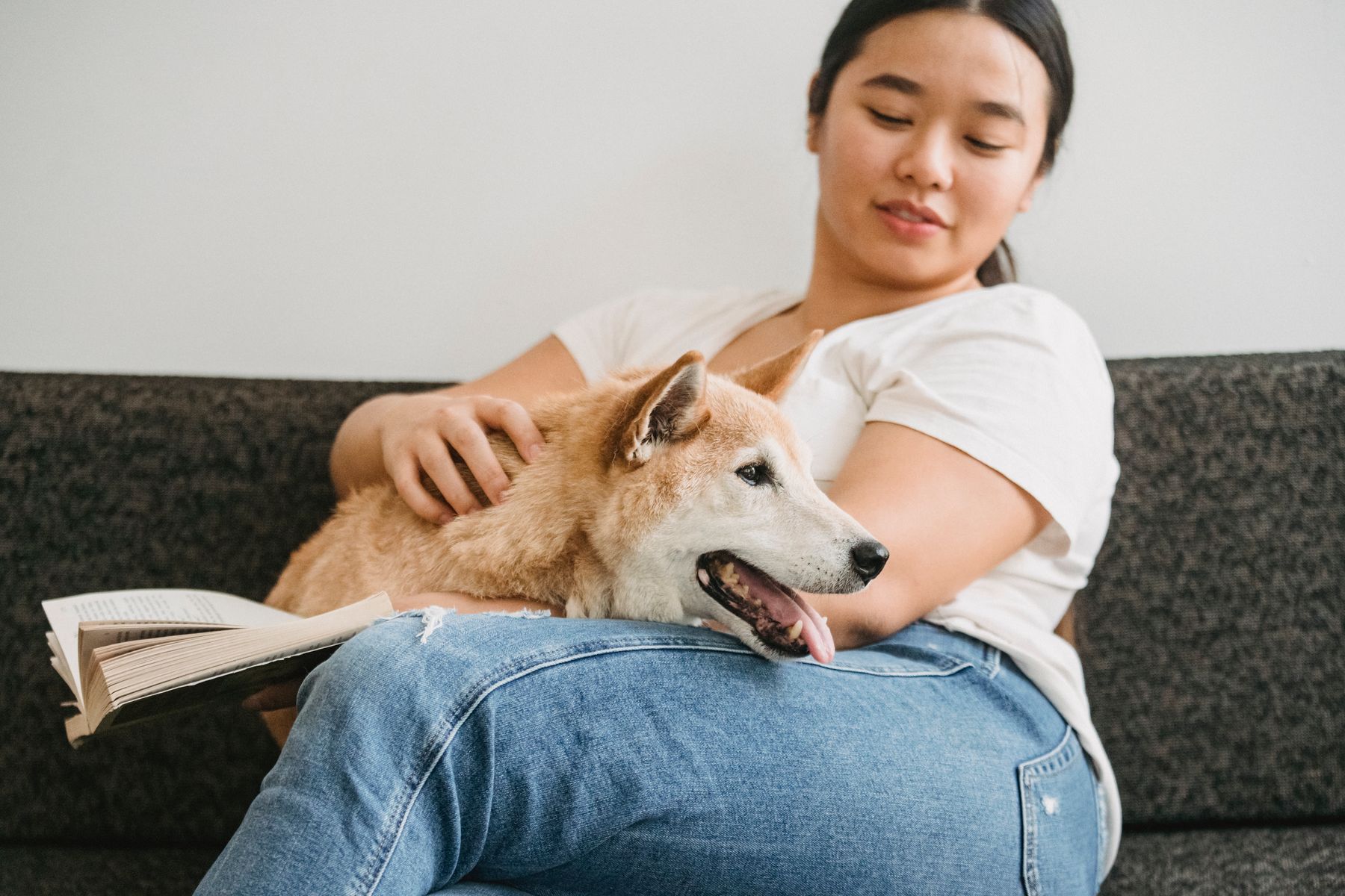 Pet care proof