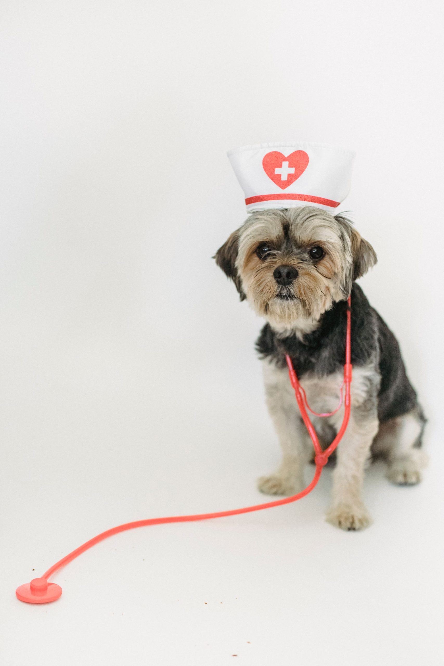 A calmer wellness visit