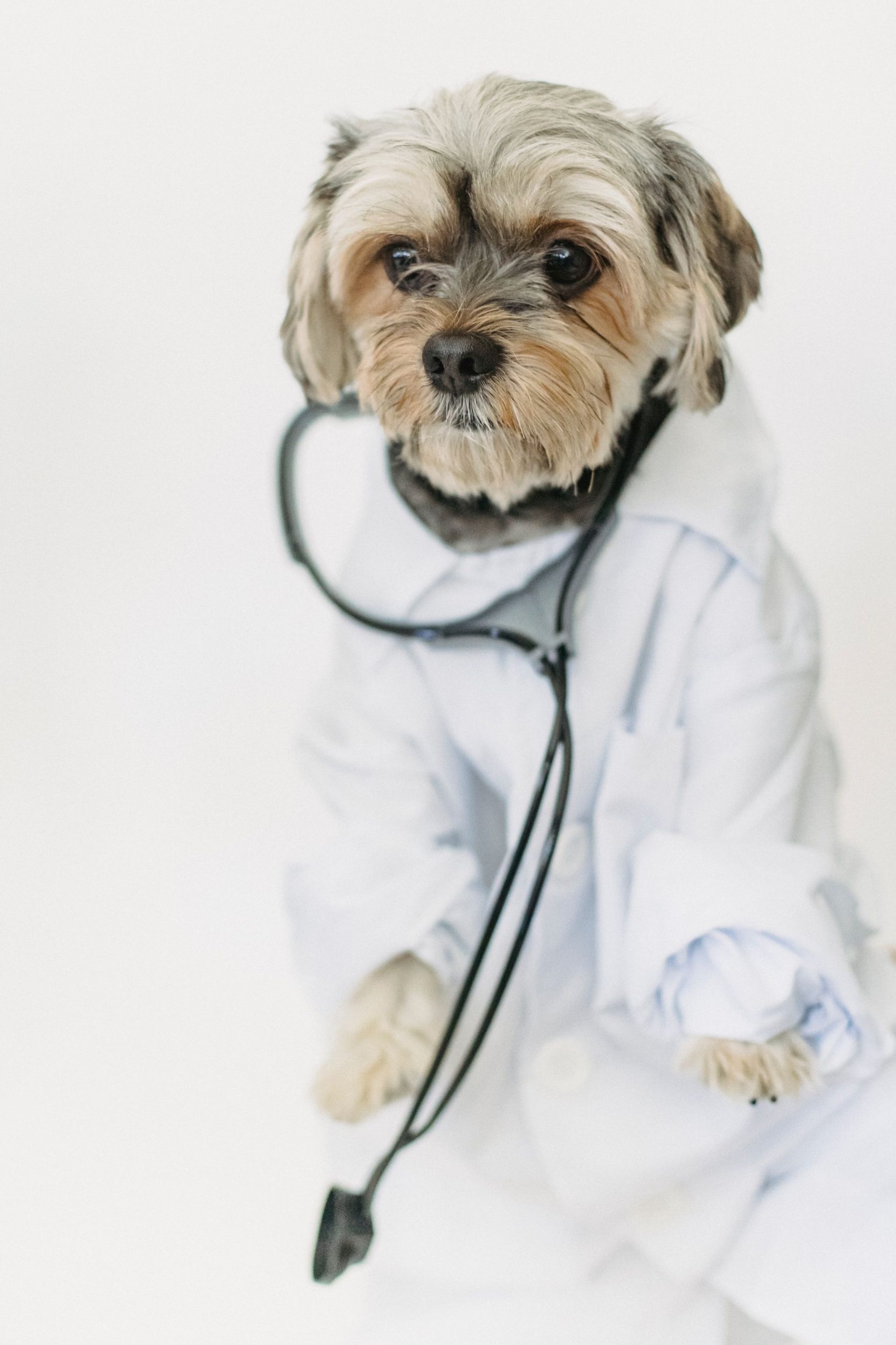 Third care perspective