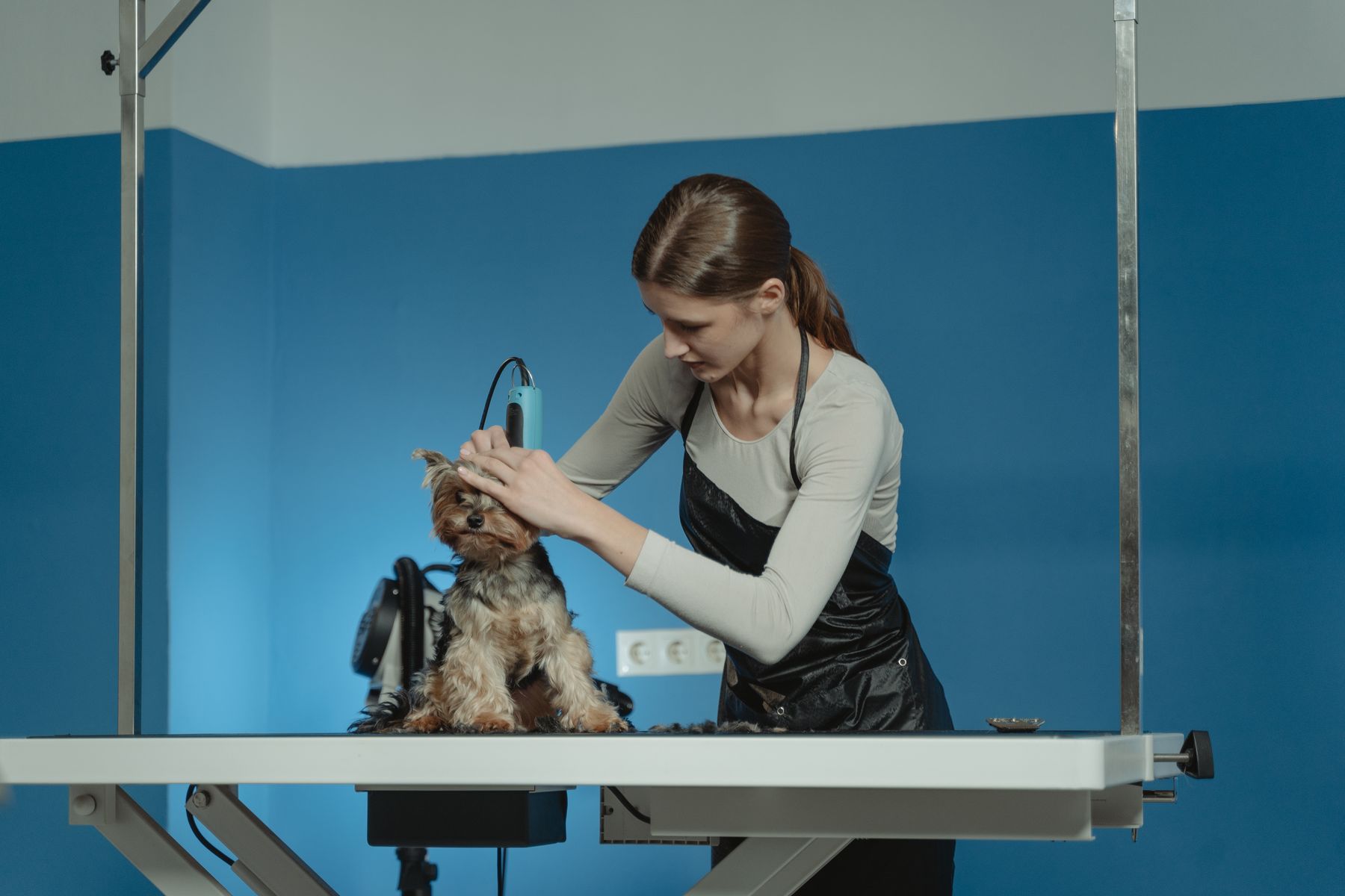 Coat care ritual