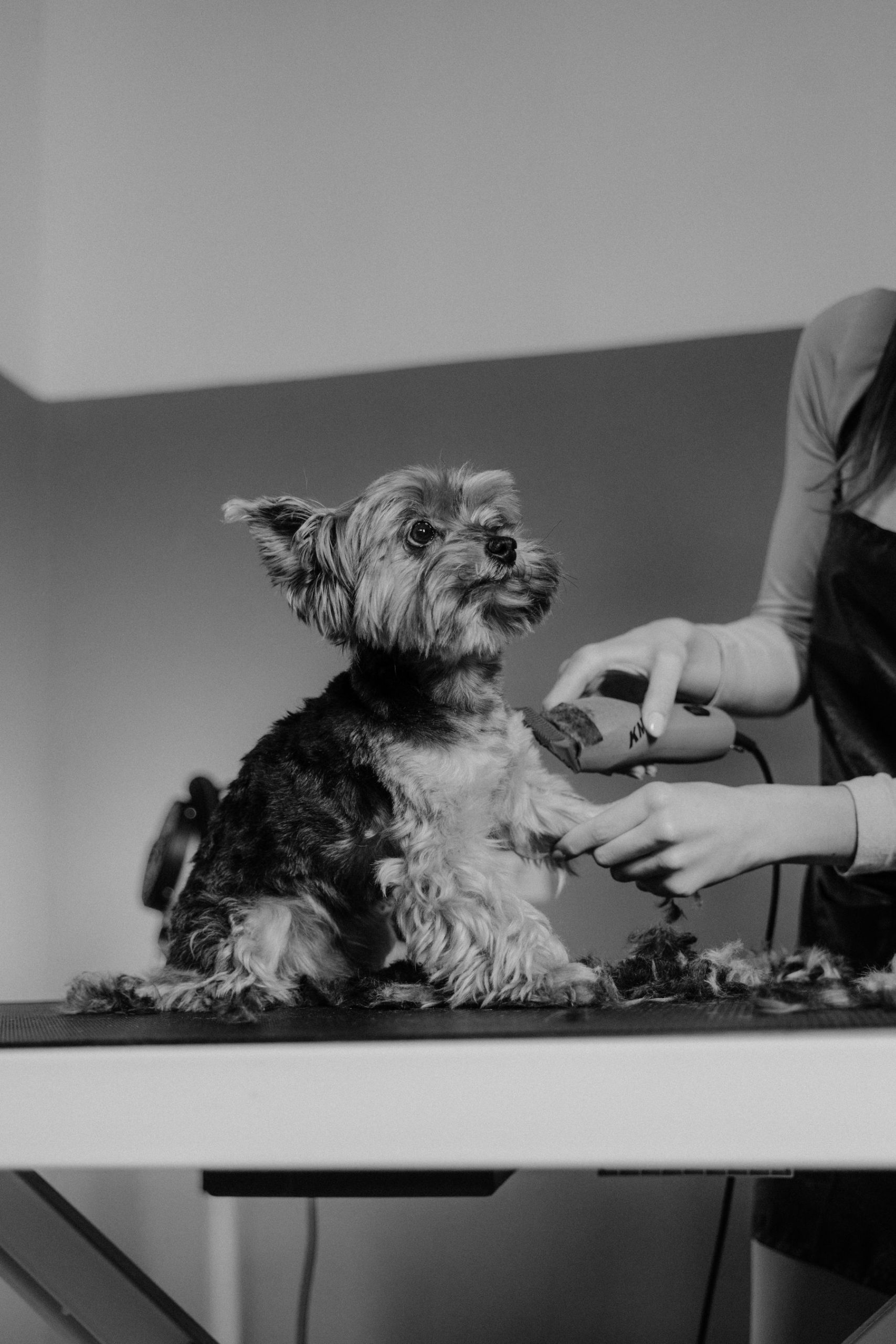 Pet care proof