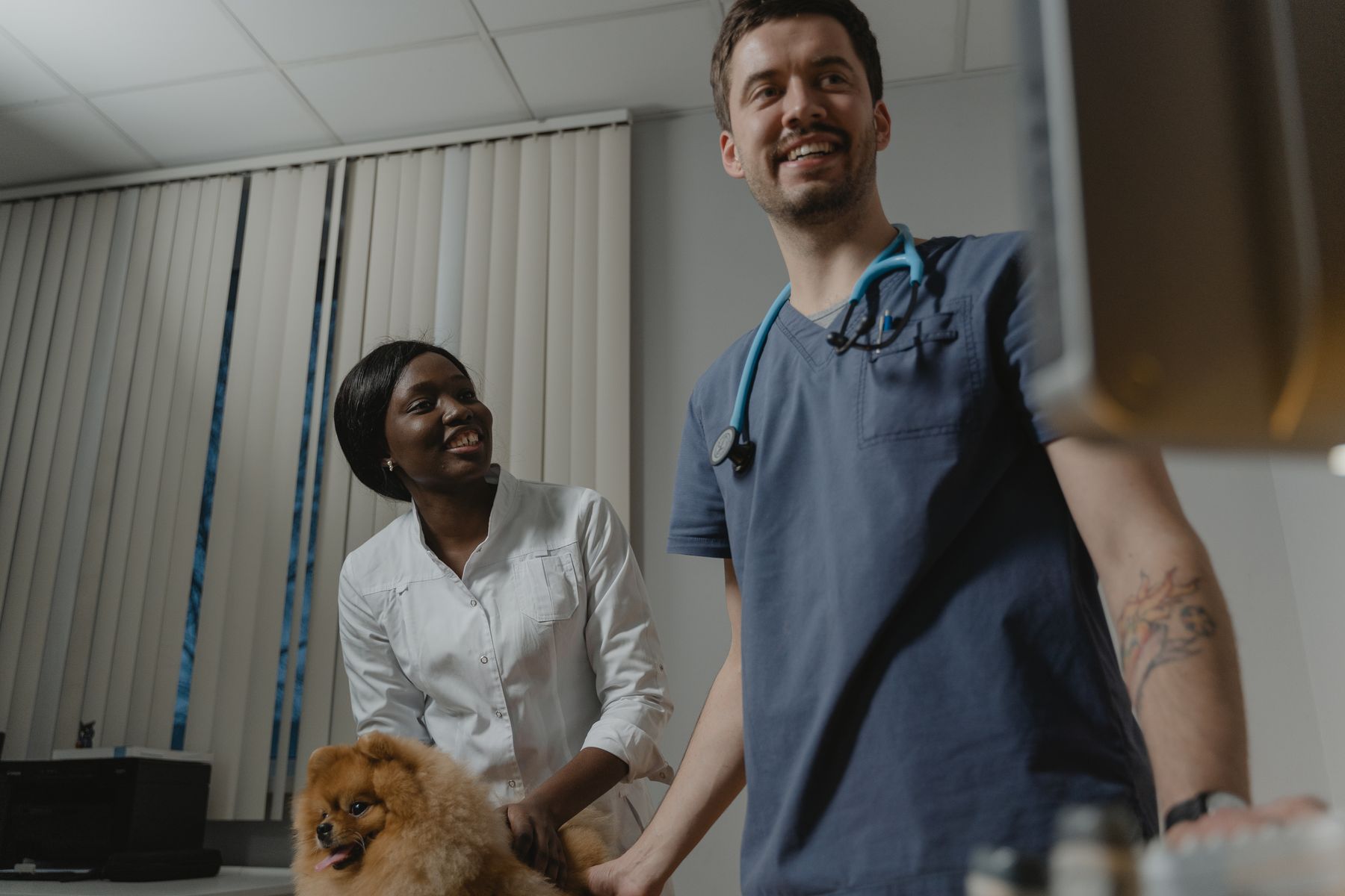 First care perspective