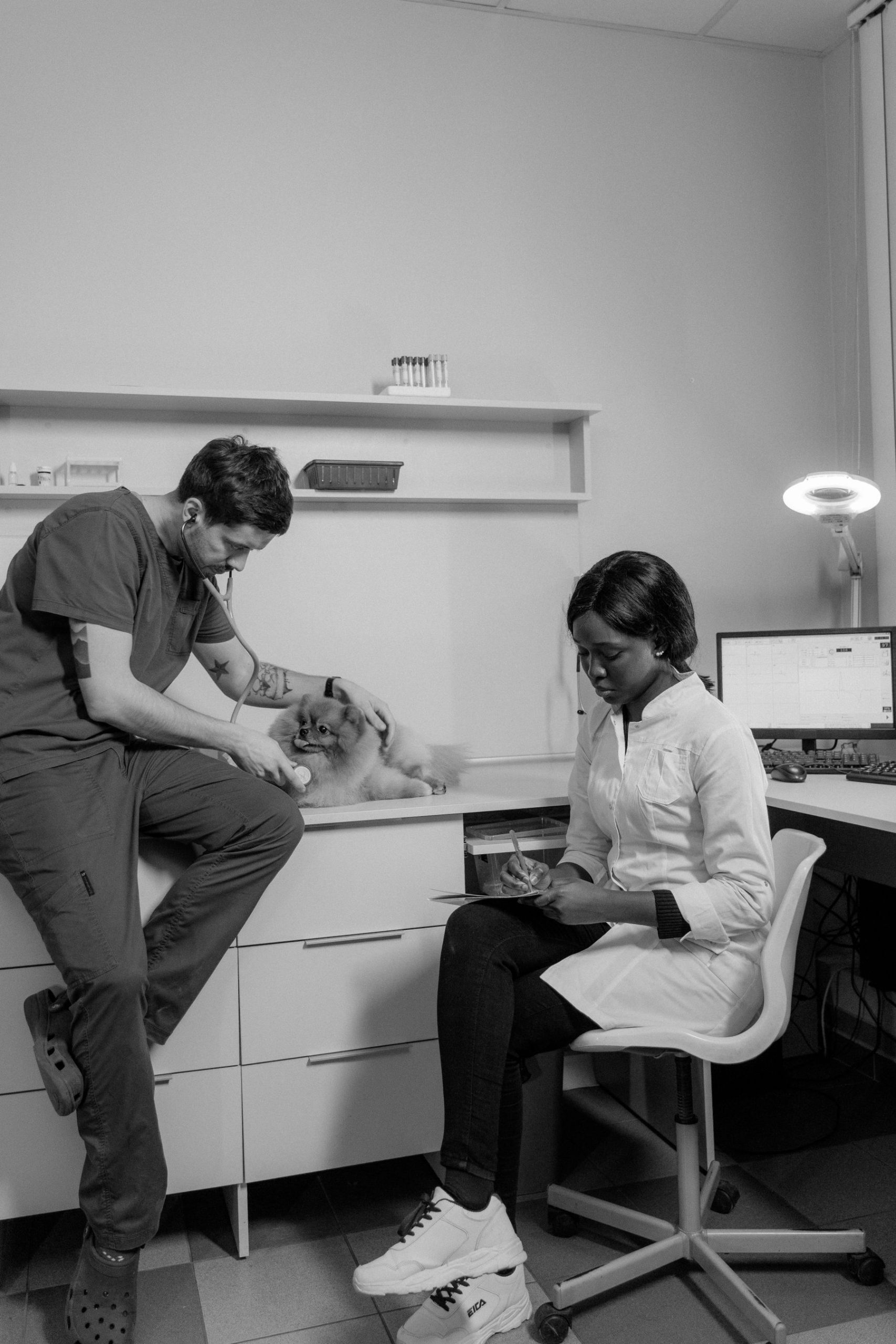 Pet care detail