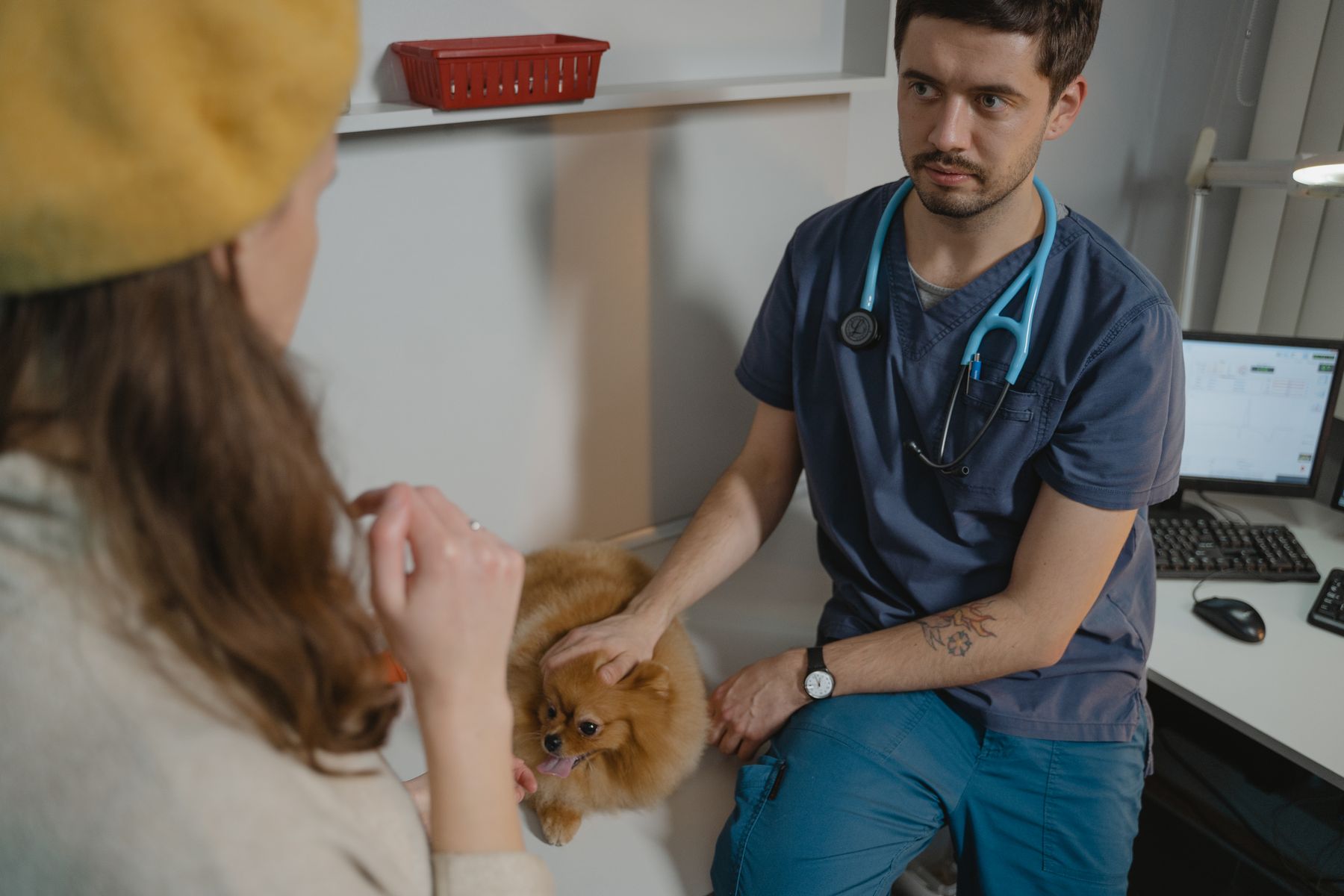 Nexolume Pet & Veterinary Mobile Vet & Home Visits slide