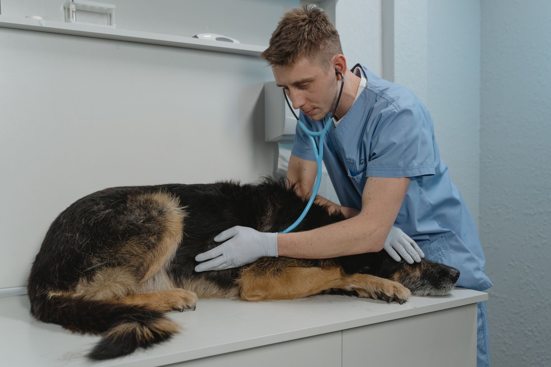 Vaccination without the rush