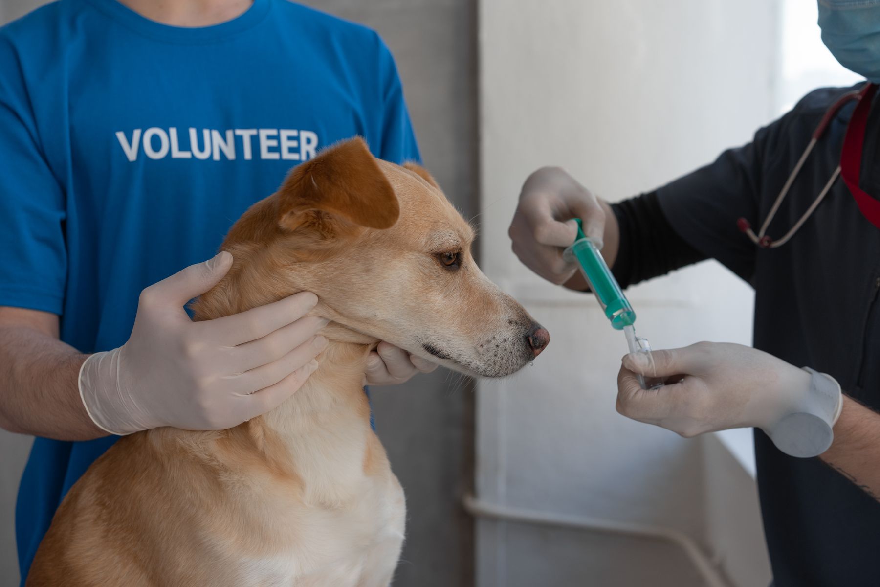 Habitat health review
