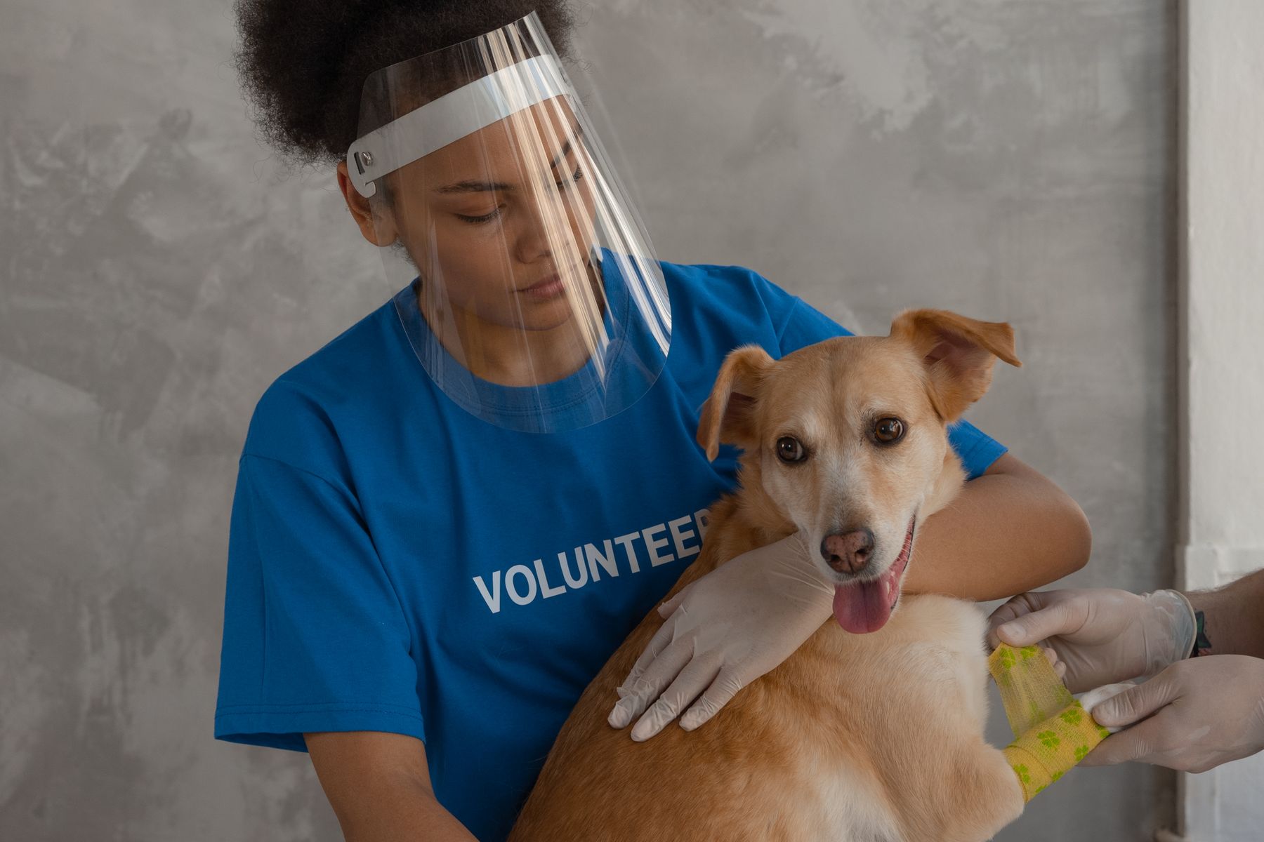 Pet care proof