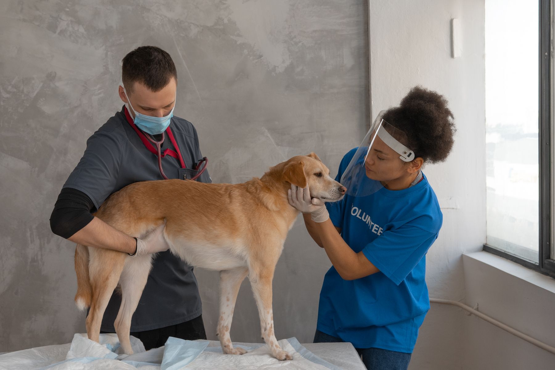 First care perspective