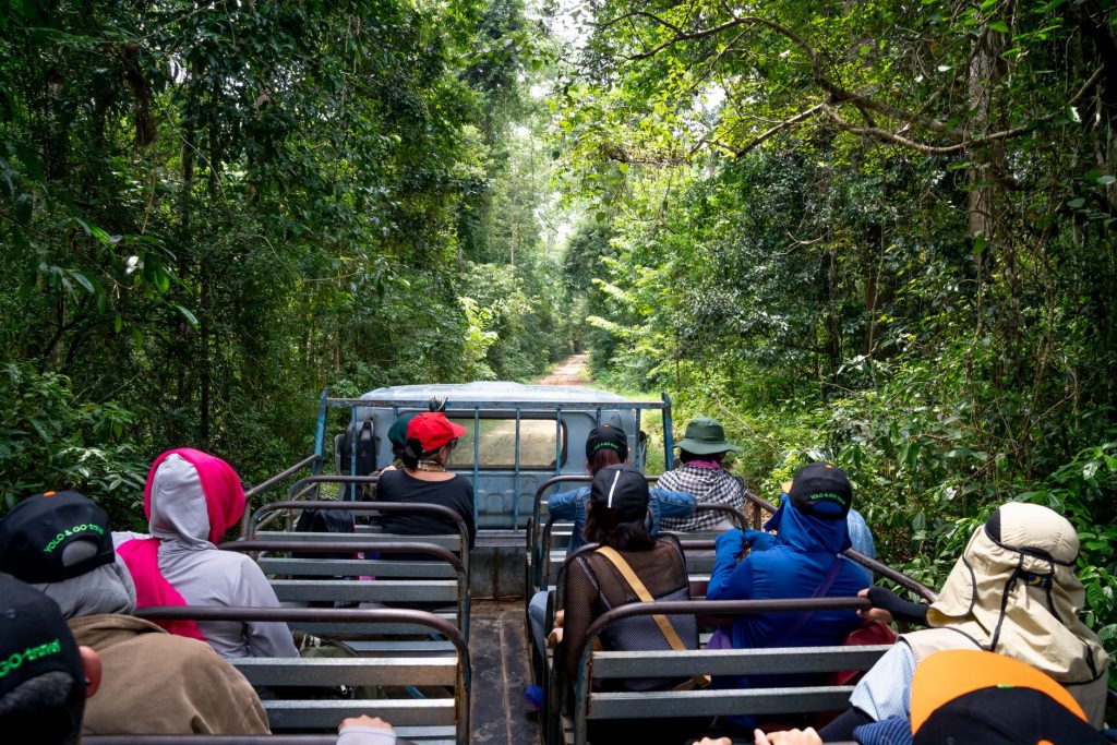 Tours & Travel Packages