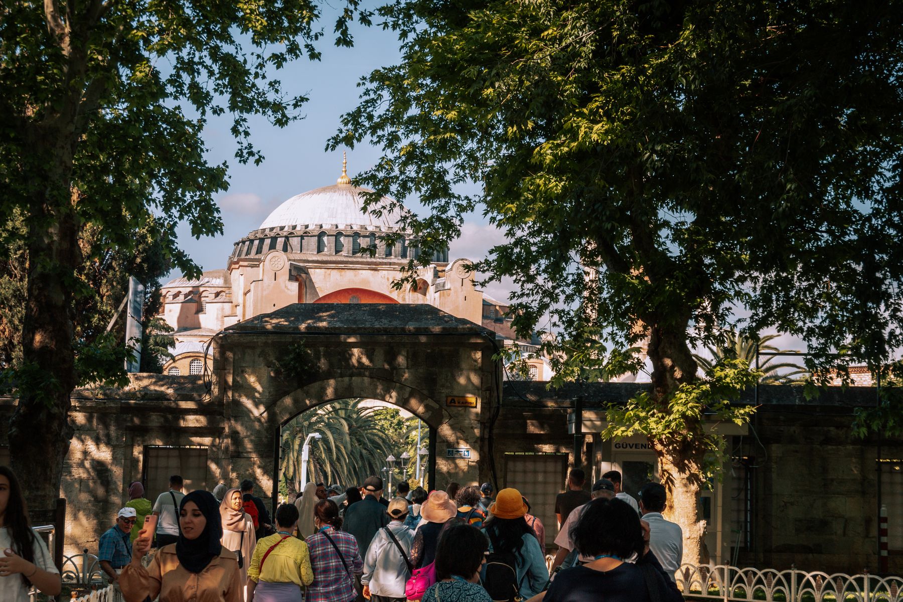 Nexolume Travel & Tours