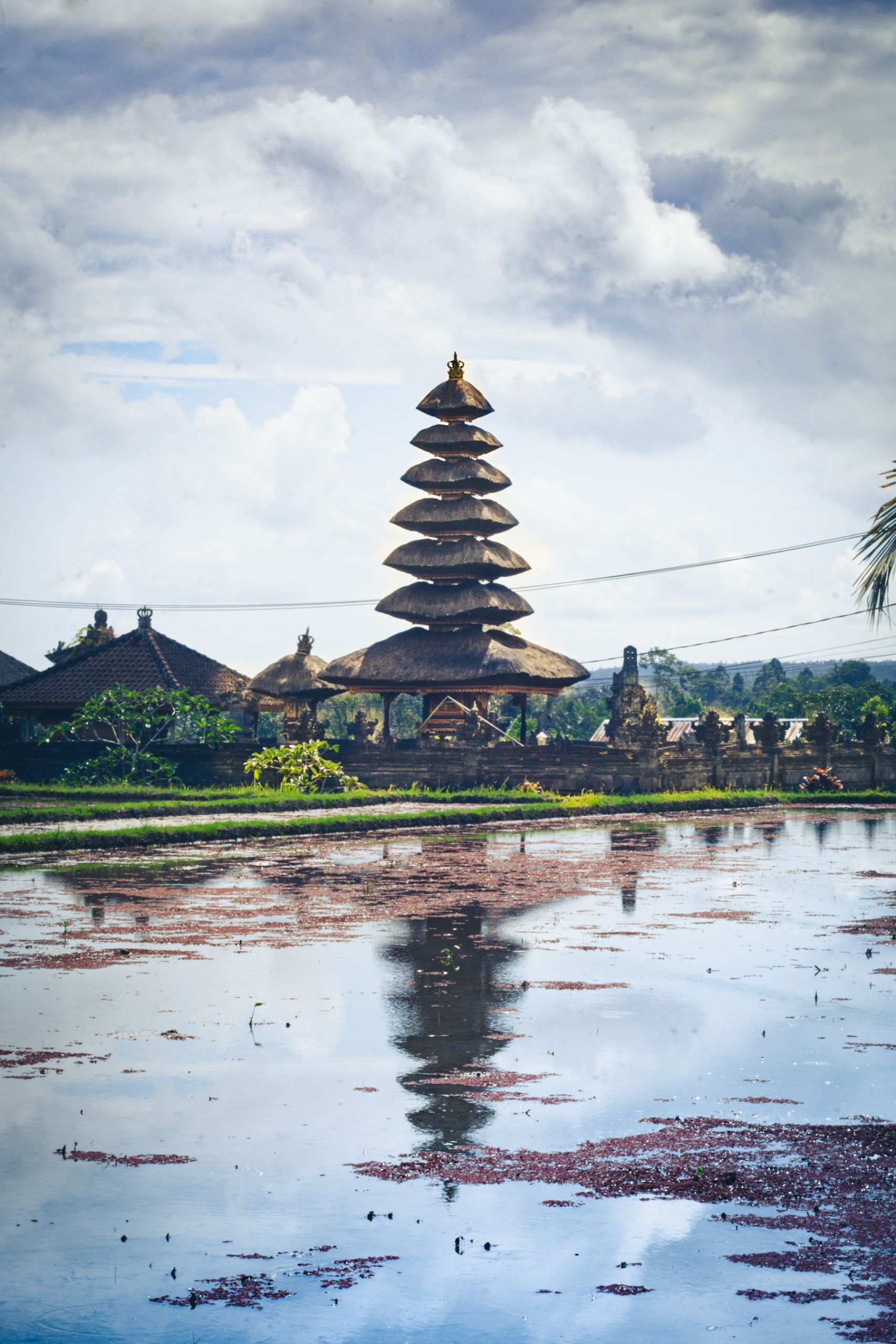Nexolume Travel & Tours