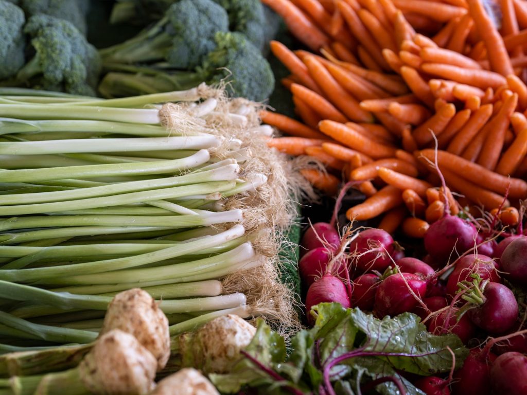 Professional Vegetable & Fruit Farming