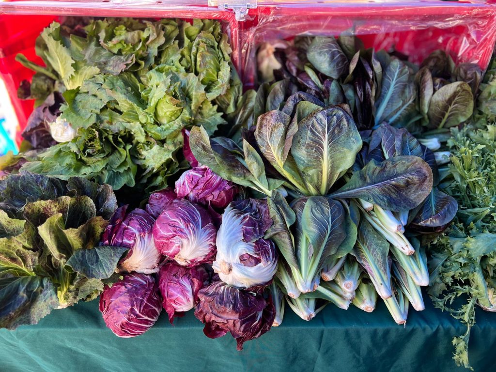 Professional Vegetable & Fruit Farming