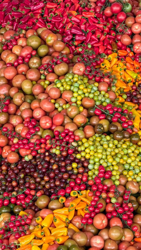Professional Vegetable & Fruit Farming
