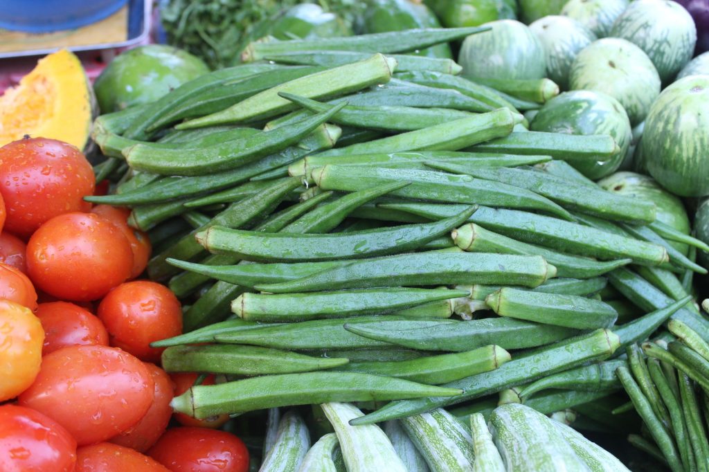 Vegetable & Fruit Farming
