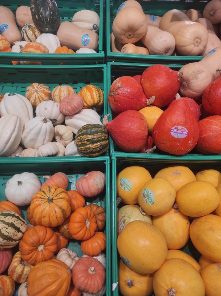 Professional Vegetable & Fruit Farming