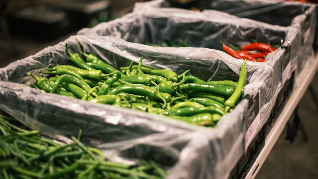 Vegetable & Fruit Farming