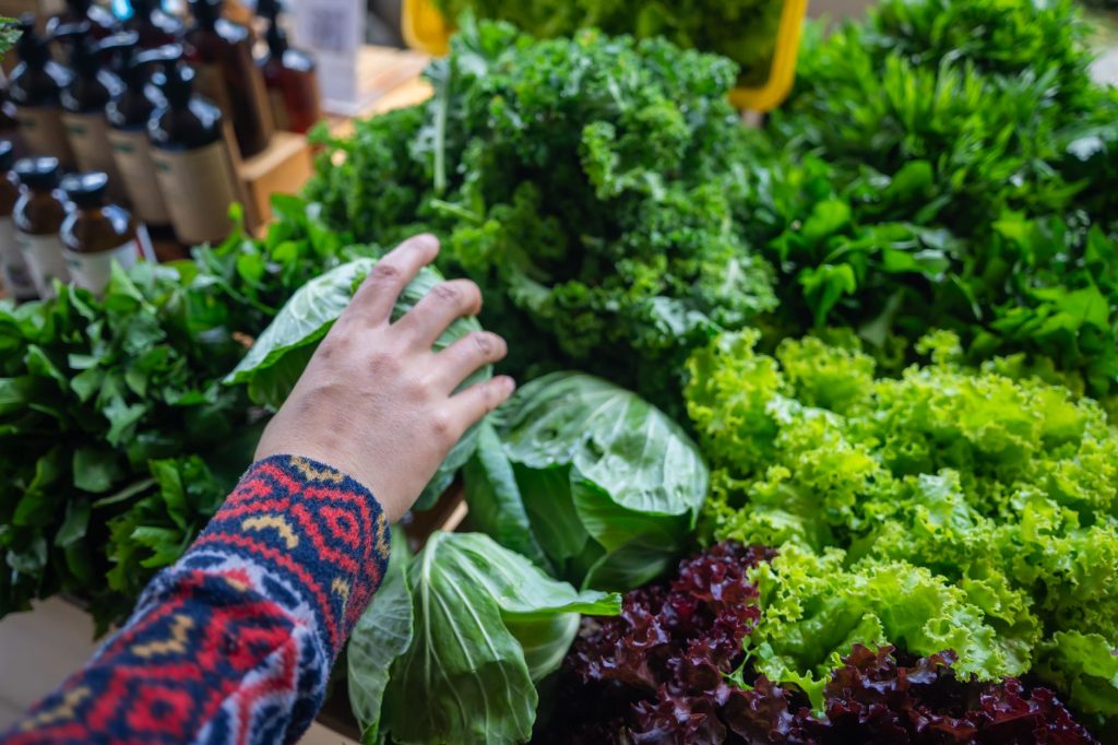 Real-world Vegetable & Fruit Farming