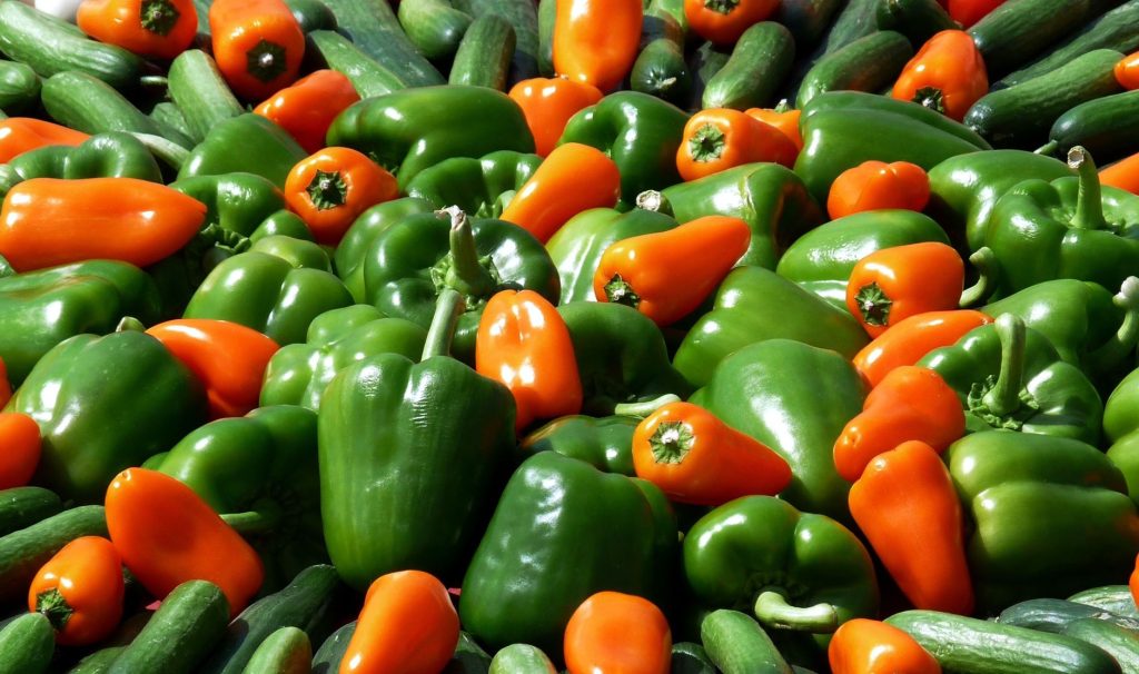Professional Vegetable & Fruit Farming