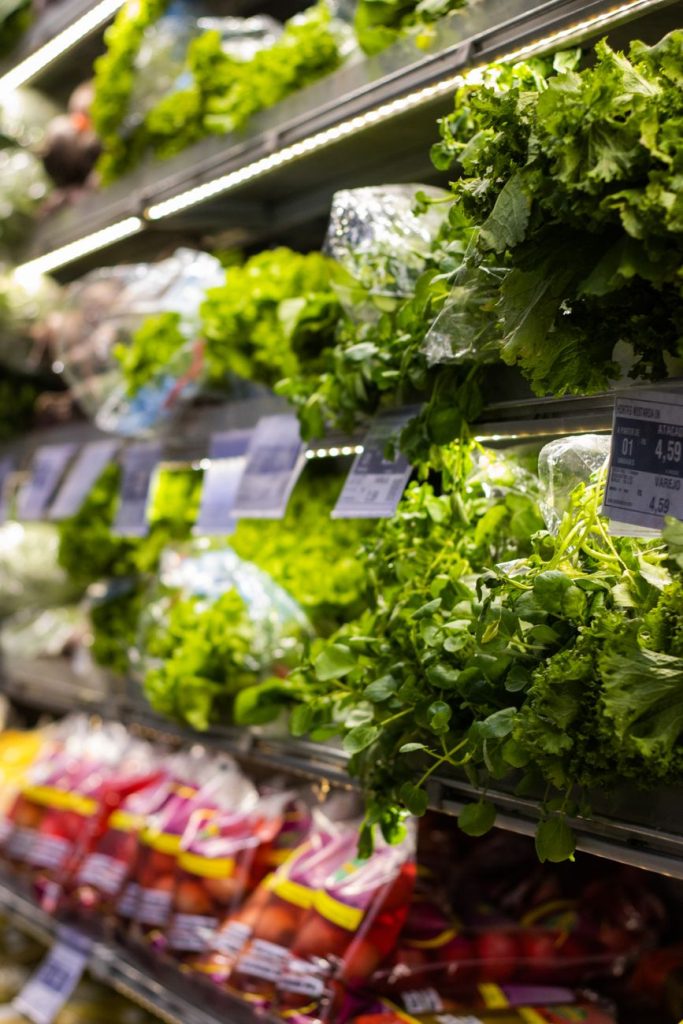 Vegetable & Fruit Farming