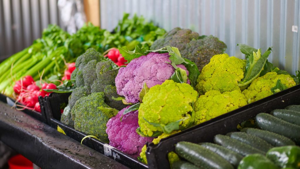 Real-world Vegetable & Fruit Farming