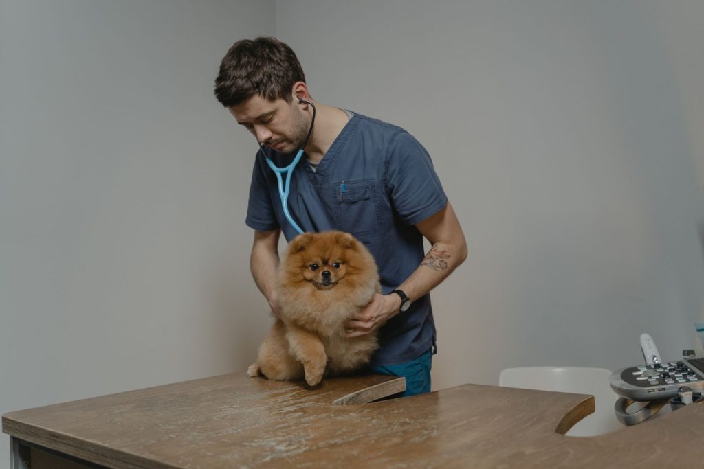 Nexolume Veterinary Clinic Veterinarian Dog Stethoscope Clinic