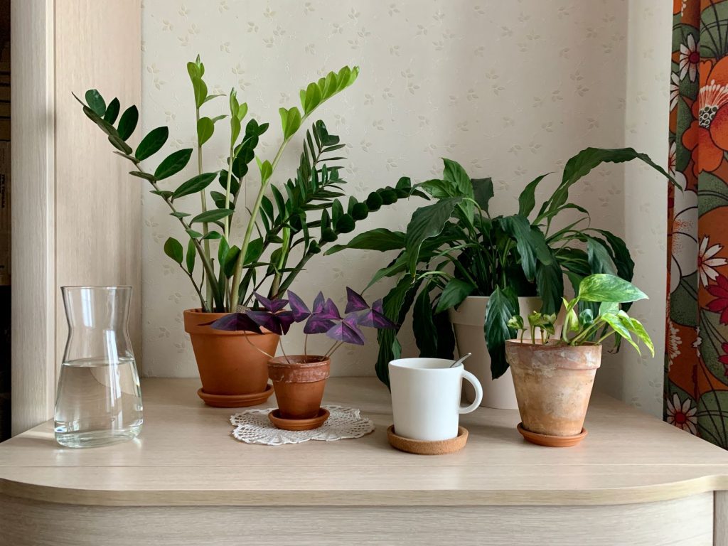 Water Purifiers & Dispensers