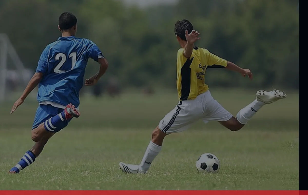 Merchandise Shop football WordPress theme demo preview