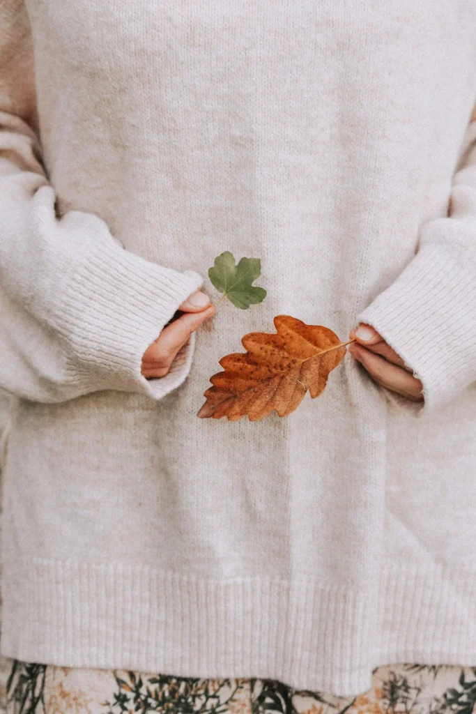 Seasonal fashion collection