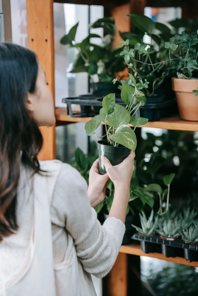 Garden & Plants Shopping Lifestyle