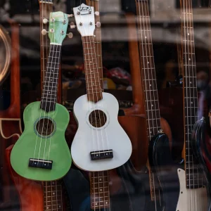 Musical Instruments Store Product Display