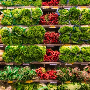 Organic & Natural Shopping Lifestyle